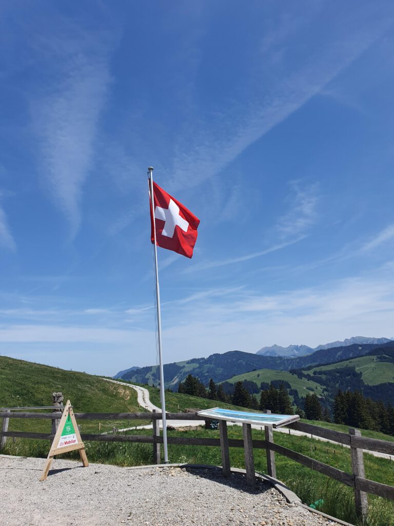 Dieses Bild hat ein leeres Alt-Attribut. Der Dateiname ist 004_2026051-768x1024.jpg