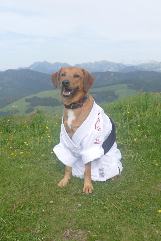 Dieses Bild hat ein leeres Alt-Attribut. Der Dateiname ist 017_2026051-683x1024.jpg