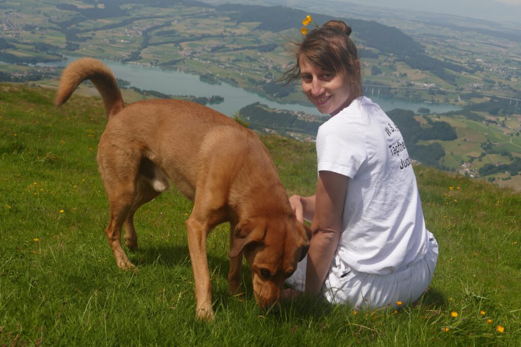 Dieses Bild hat ein leeres Alt-Attribut. Der Dateiname ist 049_2026051-1024x683.jpg